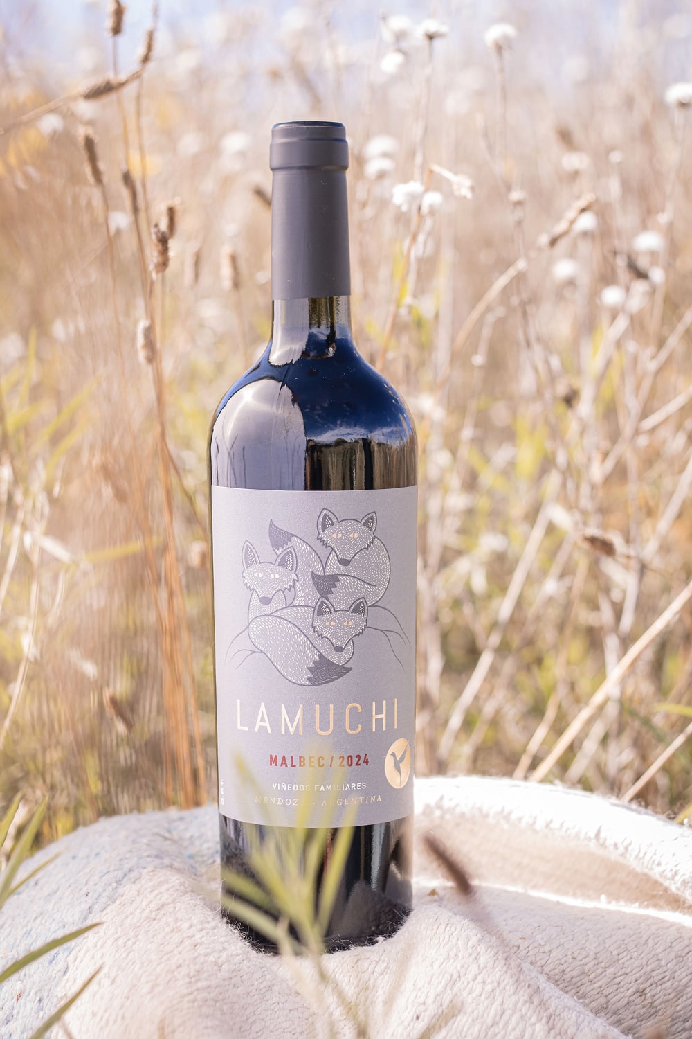 lamuchi-carousel-new-7